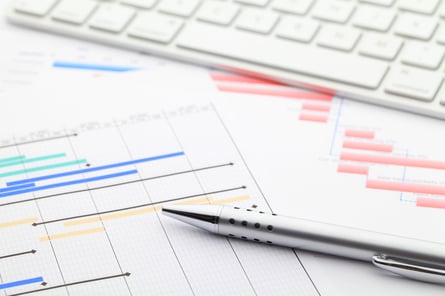 Project gantt chart-1