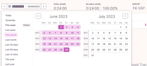 Date toggling for support detailed reporting